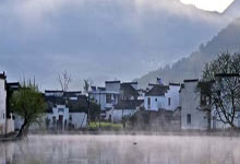 上海新后花园416：宜居胜地价值揭秘