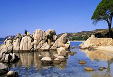 上海后花园美景，打造你的诗意栖息地